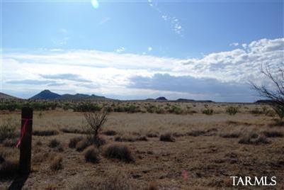 0 East Indian Ridge Road Pearce, AZ 85625 - Photo 8 of 22