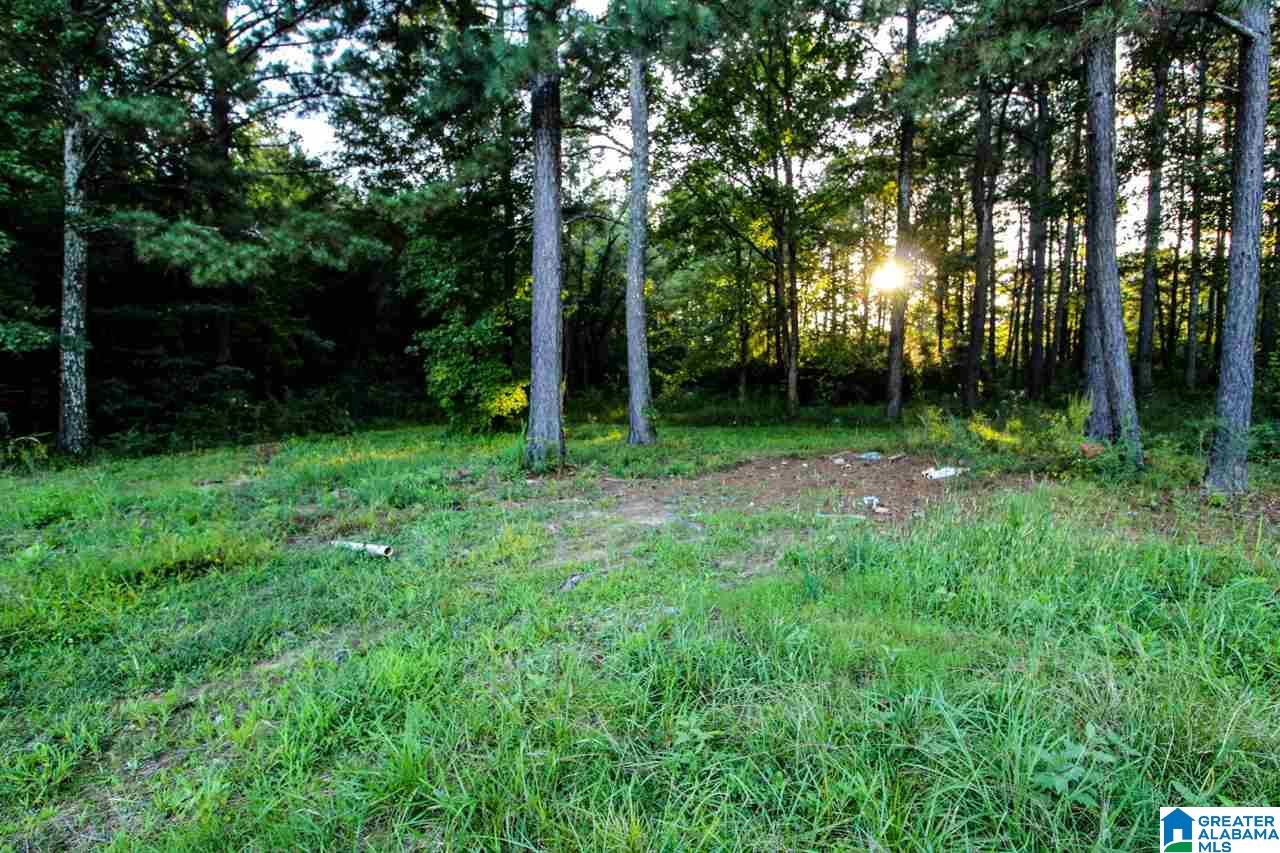 1568 Post Oak Road Alexandria, AL 36250 - Photo 21 of 27