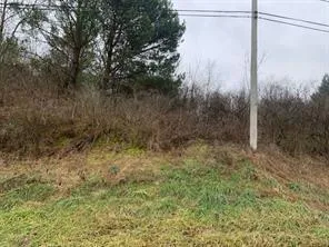 a view of a yard