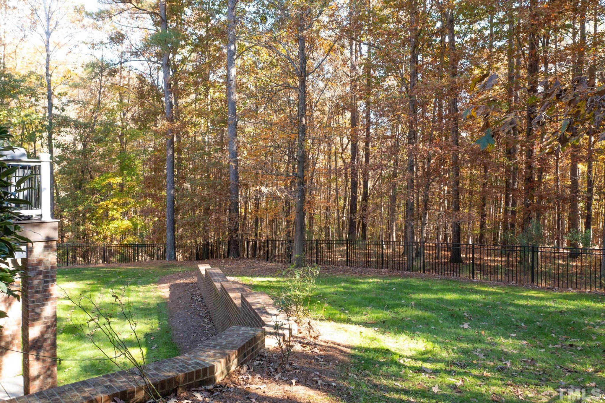52 Evening Lane Clayton, NC 27527 - Photo 44 of 58 a view of yard with green space