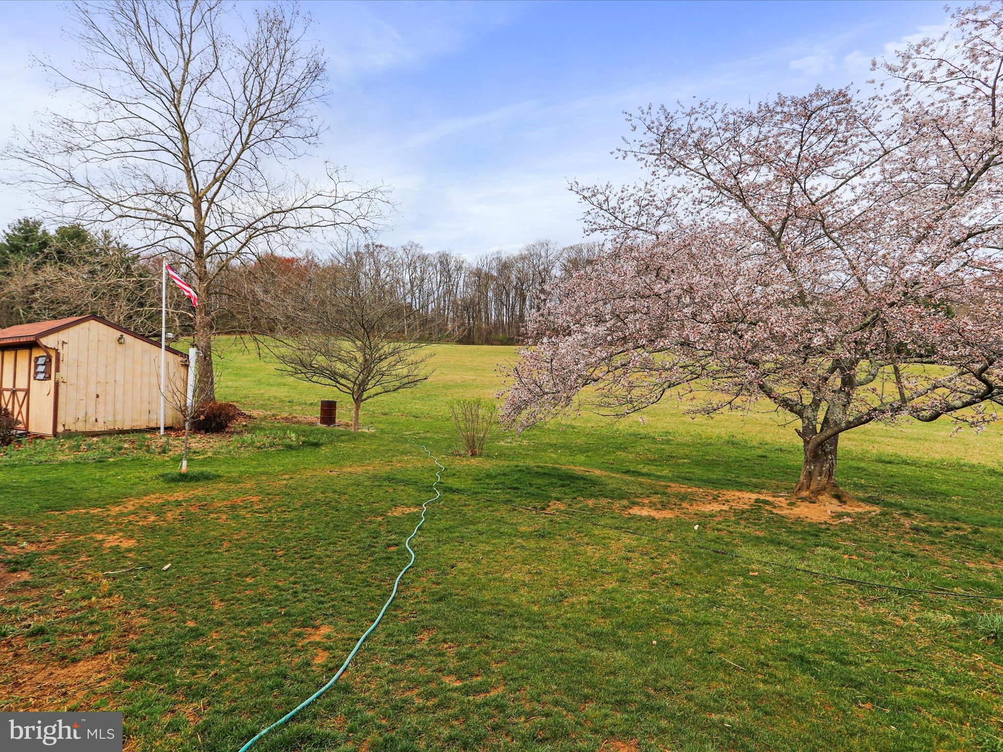 12440 Indian Springs Road Clear Spring, MD 21722 - Photo 35 of 35 a view of a field with an trees in front of it