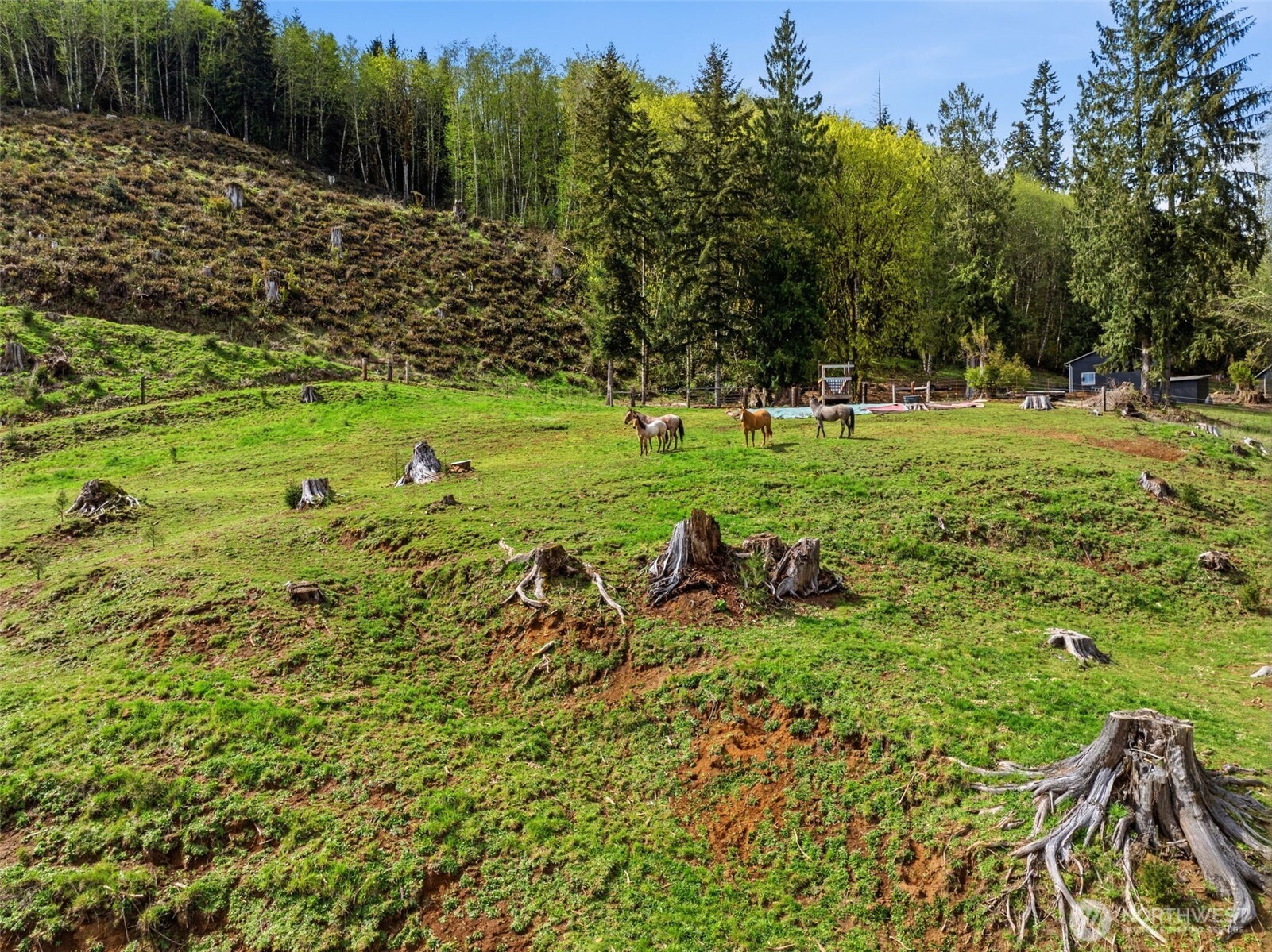 480 Apple Creek Road Longview, WA 98632 - Photo 33 of 40