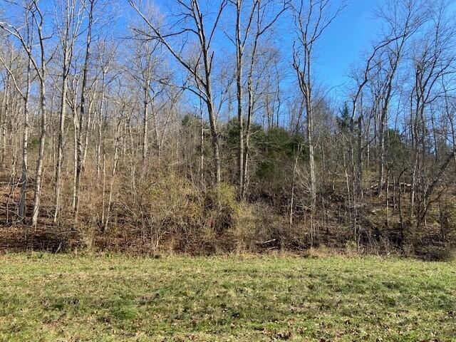 342 Kennon Road Foster, KY 41043 - Photo 1 of 2 Gallery Image 1