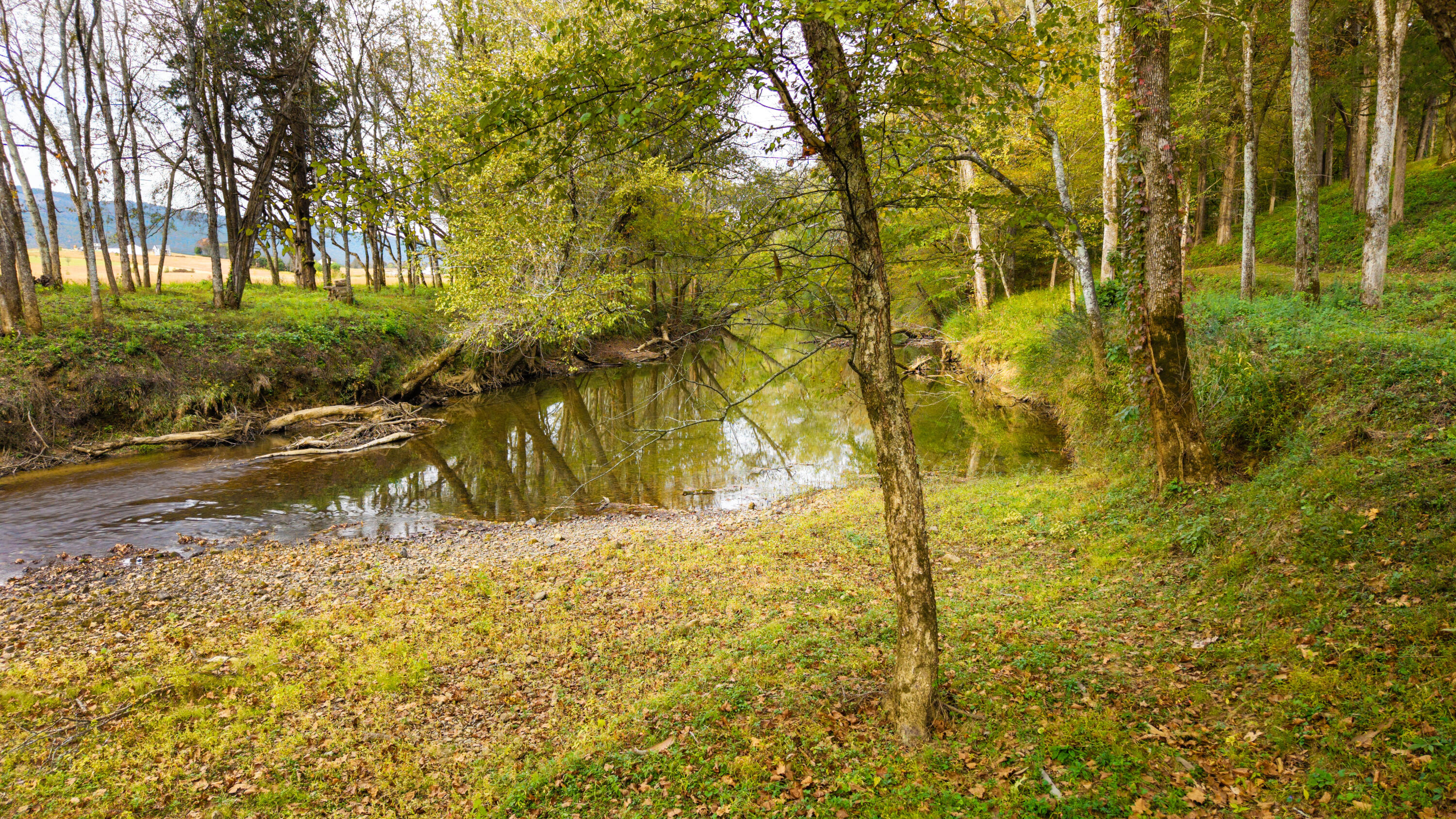 49 Hart Of Pine Road Dunlap, TN 37327 - Photo 123 of 126 ATUMN VIEWBEAUTIFUL RIVER ACCESS