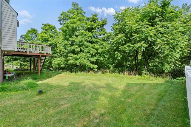 a view of a big yard with plants and large trees