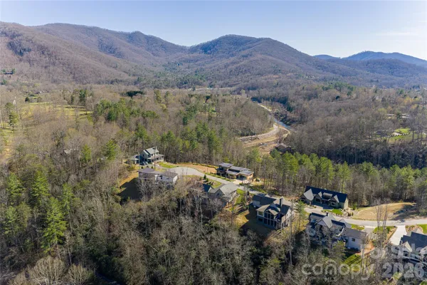 a view of a lush green hillside and houses