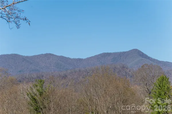 a view of a mountain range with trees in the background