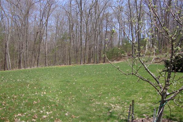 169 Manchaug Road Sutton, MA 01590 - Photo 26 of 30 a view of backyard with green space