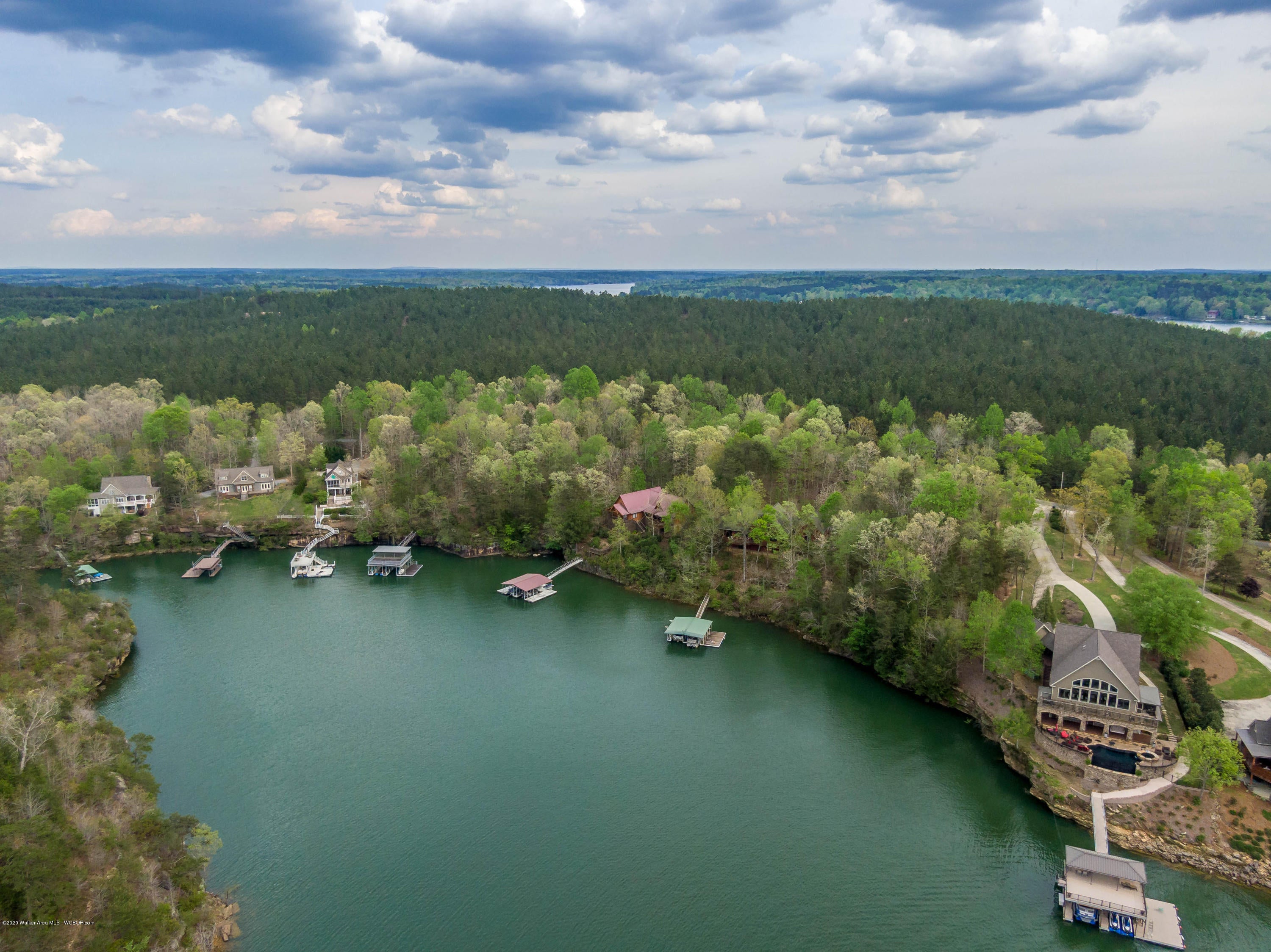 Lot 132 Sipsey Road Arley, AL 35541 - Photo 4 of 5 Gallery Image 4
