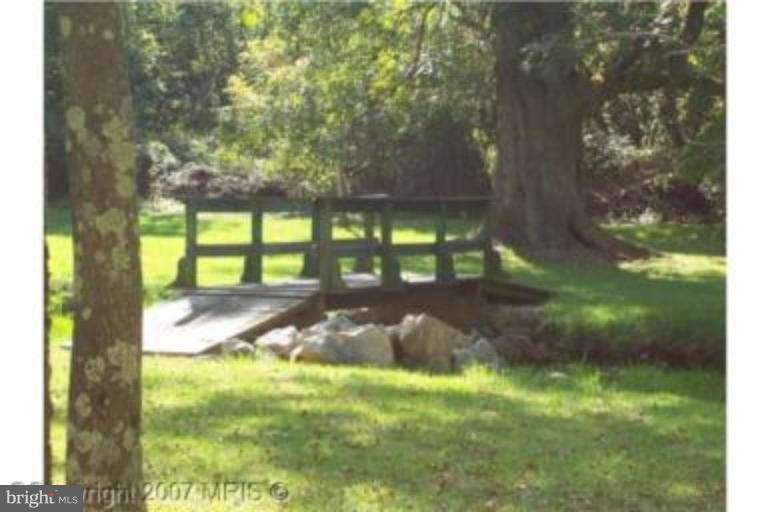 2402 Jones Road Winchester, VA 22602 - Photo 5 of 19 Wooded View / Acreage