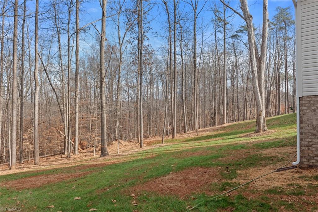 4685 Walkertown Community Center Road Walkertown, NC 27051 - Photo 43 of 44 Gallery Image 43