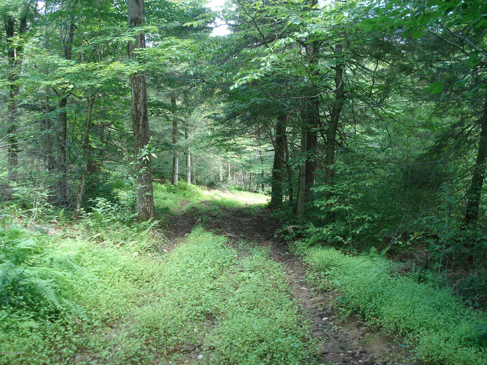 French Woods Road Hancock, NY 13783 - Photo 6 of 12