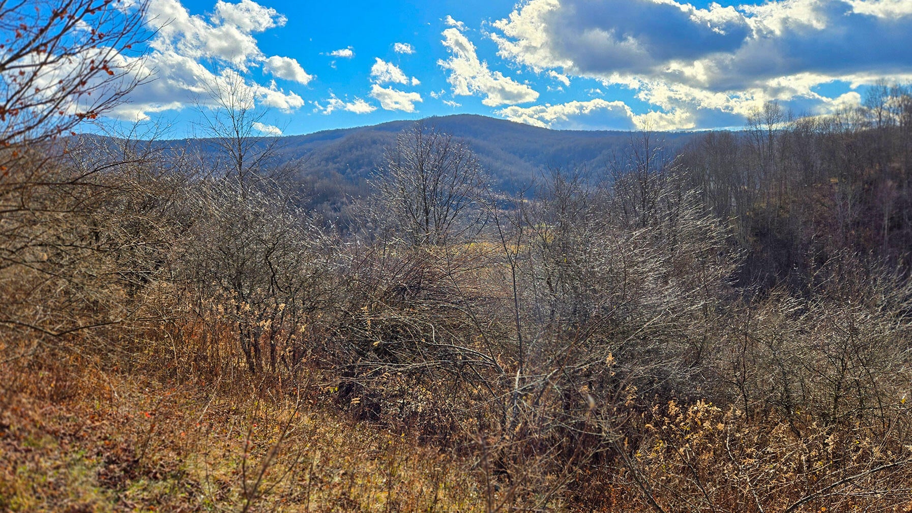 27 Acres Big Spring Slatyfork, WV 26291 - Photo 2 of 22 Mountain and valley views