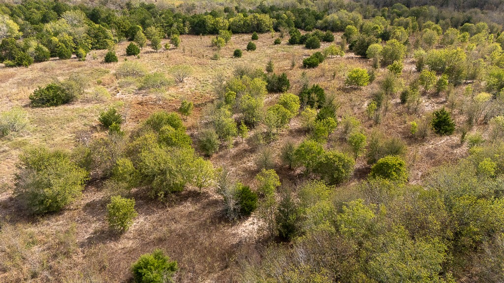Tbd Kimbro West Road Manor, TX 78653 - Photo 13 of 33 a view of a yard