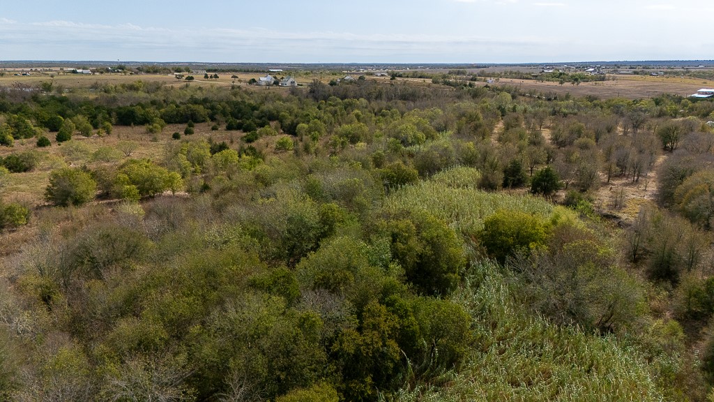 Tbd Kimbro West Road Manor, TX 78653 - Photo 14 of 33 an aerial view of forest