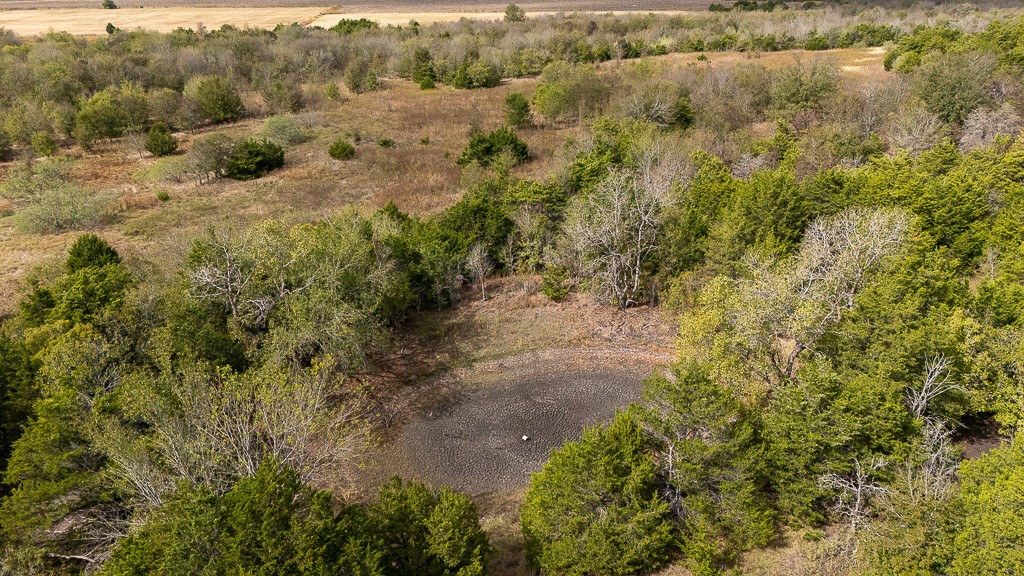 Tbd Kimbro West Road Manor, TX 78653 - Photo 28 of 33 a view of a yard of a house