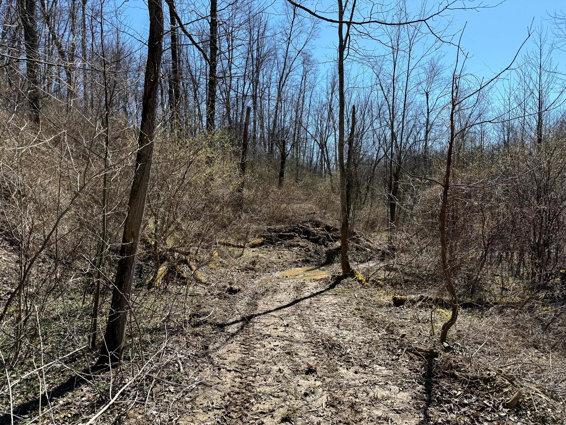 0 Dutch Ridge Road Southeast, Unit WOODS TURKEY RUN TRACT 5) New Lexington, OH 43764 - Photo 26 of 58 CT-26