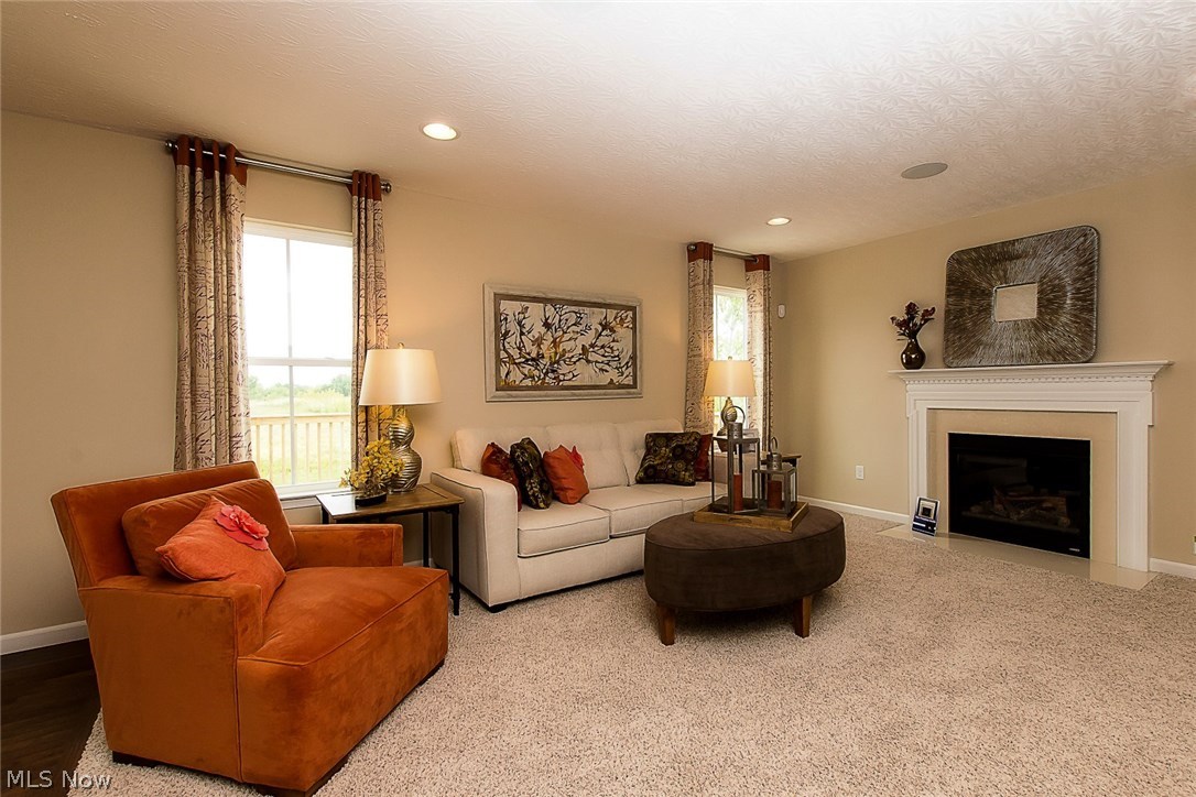 31903 Rustic Ridge North Ridgeville, OH 44039 - Photo 2 of 21 Gallery Image 2