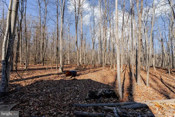 $298,000 | 345 Wildwood Lane, Shenandoah, VA 22849