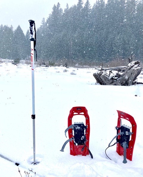 141 Maple Way Packwood, WA 98361 - Photo 30 of 36