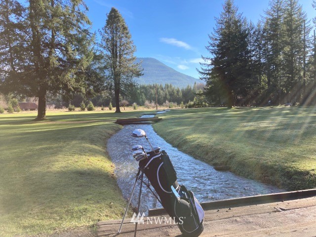 141 Maple Way Packwood, WA 98361 - Photo 31 of 36