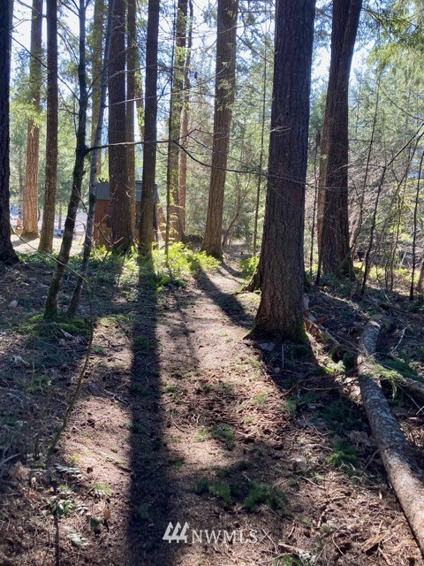 141 Maple Way Packwood, WA 98361 - Photo 33 of 36