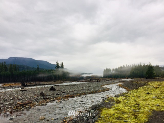 141 Maple Way Packwood, WA 98361 - Photo 34 of 36