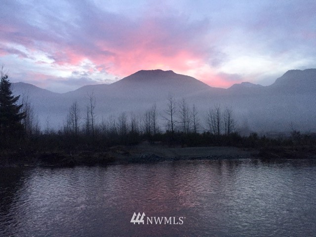 141 Maple Way Packwood, WA 98361 - Photo 35 of 36