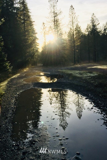141 Maple Way Packwood, WA 98361 - Photo 36 of 36