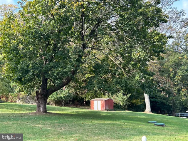 a view of a green field