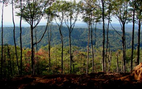195 Deer Crest Overlook Blue Ridge, GA 30513 - Photo 1 of 1 Main View