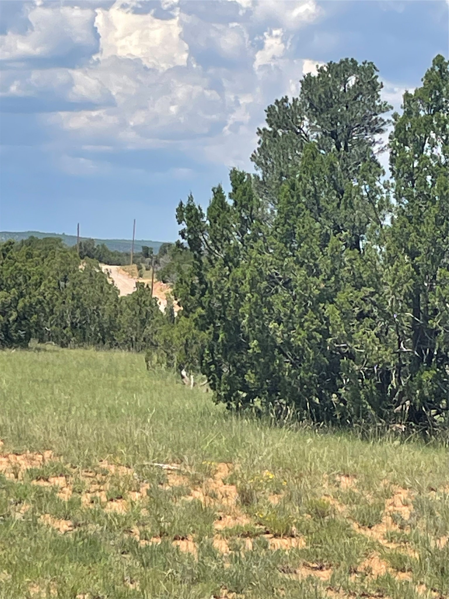 0 County Rd B29A Villanueva, NM 87583 - Photo 5 of 11