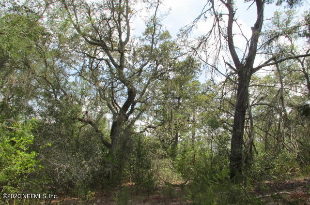 257 Byrd Road Crescent City, FL 32112 - Photo 6 of 13 IMG_5631