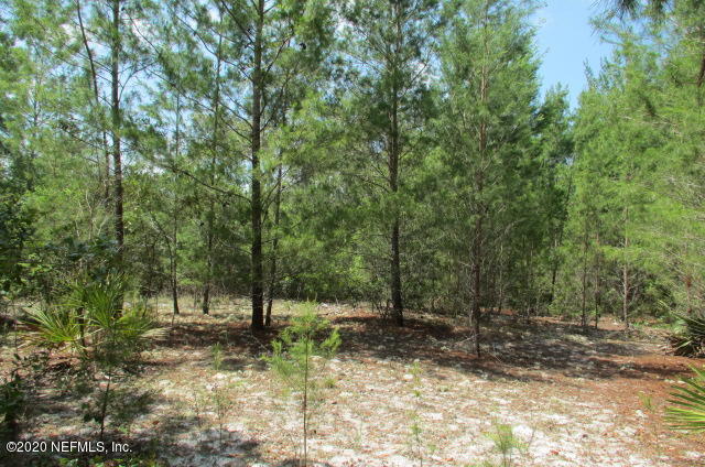 257 Byrd Road Crescent City, FL 32112 - Photo 9 of 13 IMG_5634