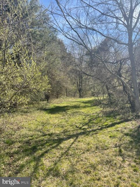 219 Bear Pond Road Marydel, MD 21649 - Photo 12 of 57 Gallery Image 12