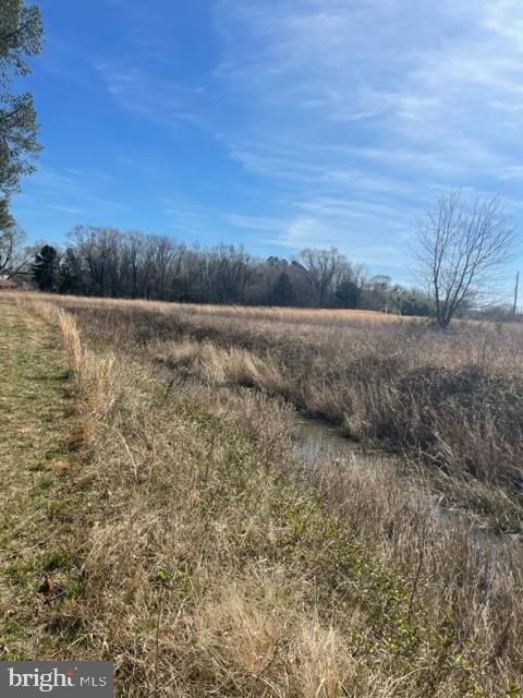 219 Bear Pond Road Marydel, MD 21649 - Photo 17 of 57 Gallery Image 17