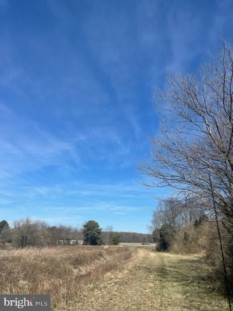 219 Bear Pond Road Marydel, MD 21649 - Photo 18 of 57 Gallery Image 18