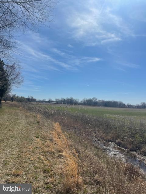219 Bear Pond Road Marydel, MD 21649 - Photo 21 of 57 Gallery Image 21