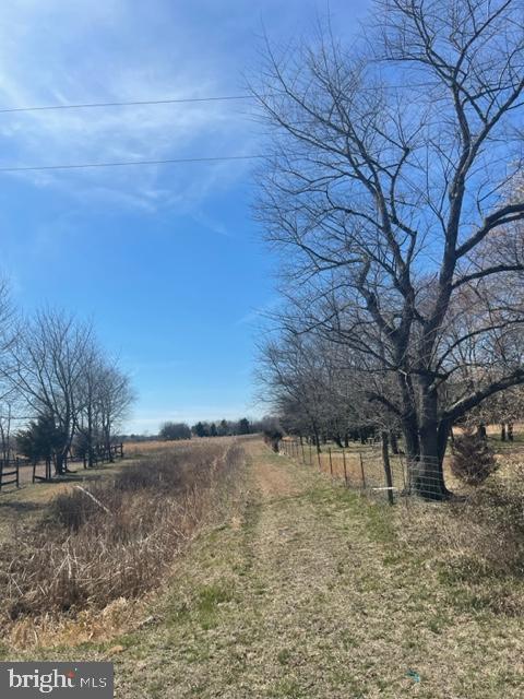 219 Bear Pond Road Marydel, MD 21649 - Photo 22 of 57 Gallery Image 22