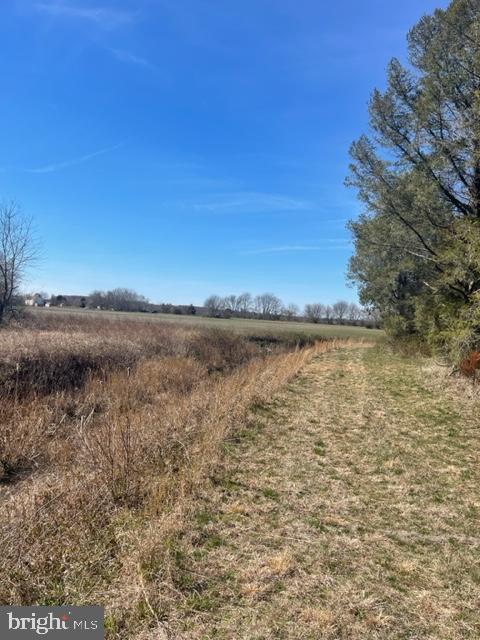 219 Bear Pond Road Marydel, MD 21649 - Photo 23 of 57 Gallery Image 23
