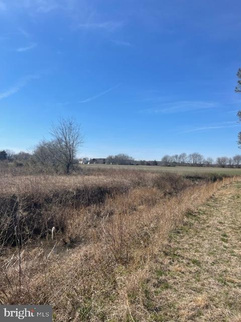 219 Bear Pond Road Marydel, MD 21649 - Photo 25 of 57 Gallery Image 25