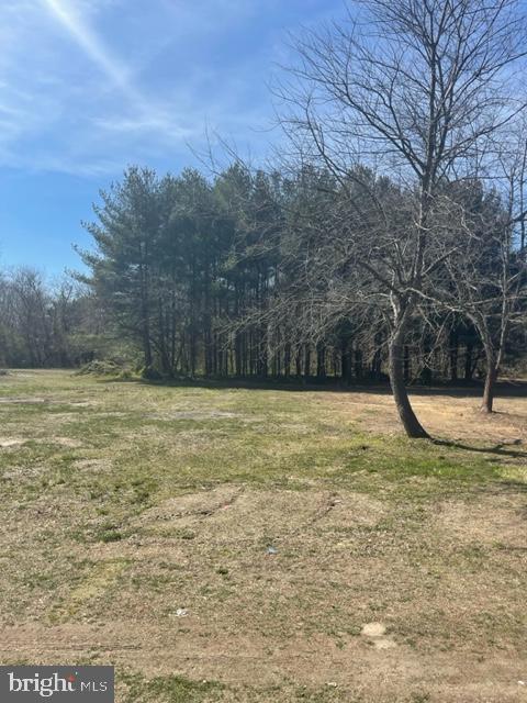 219 Bear Pond Road Marydel, MD 21649 - Photo 35 of 57 Gallery Image 35