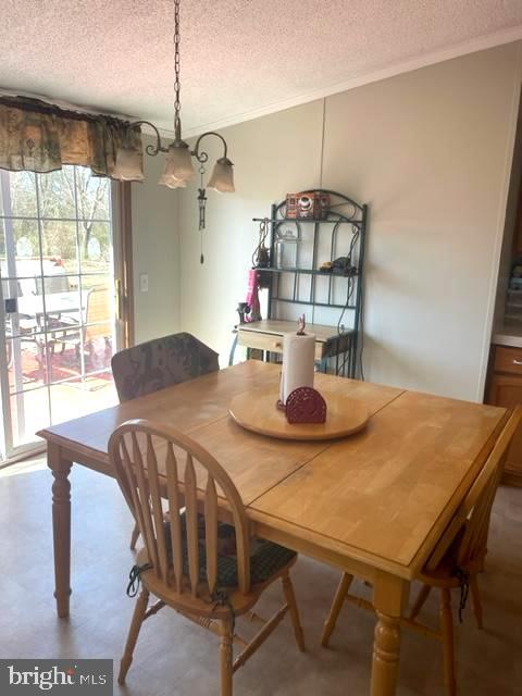 219 Bear Pond Road Marydel, MD 21649 - Photo 45 of 57 Gallery Image 45