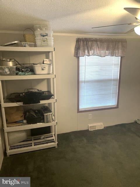219 Bear Pond Road Marydel, MD 21649 - Photo 54 of 57 Gallery Image 54