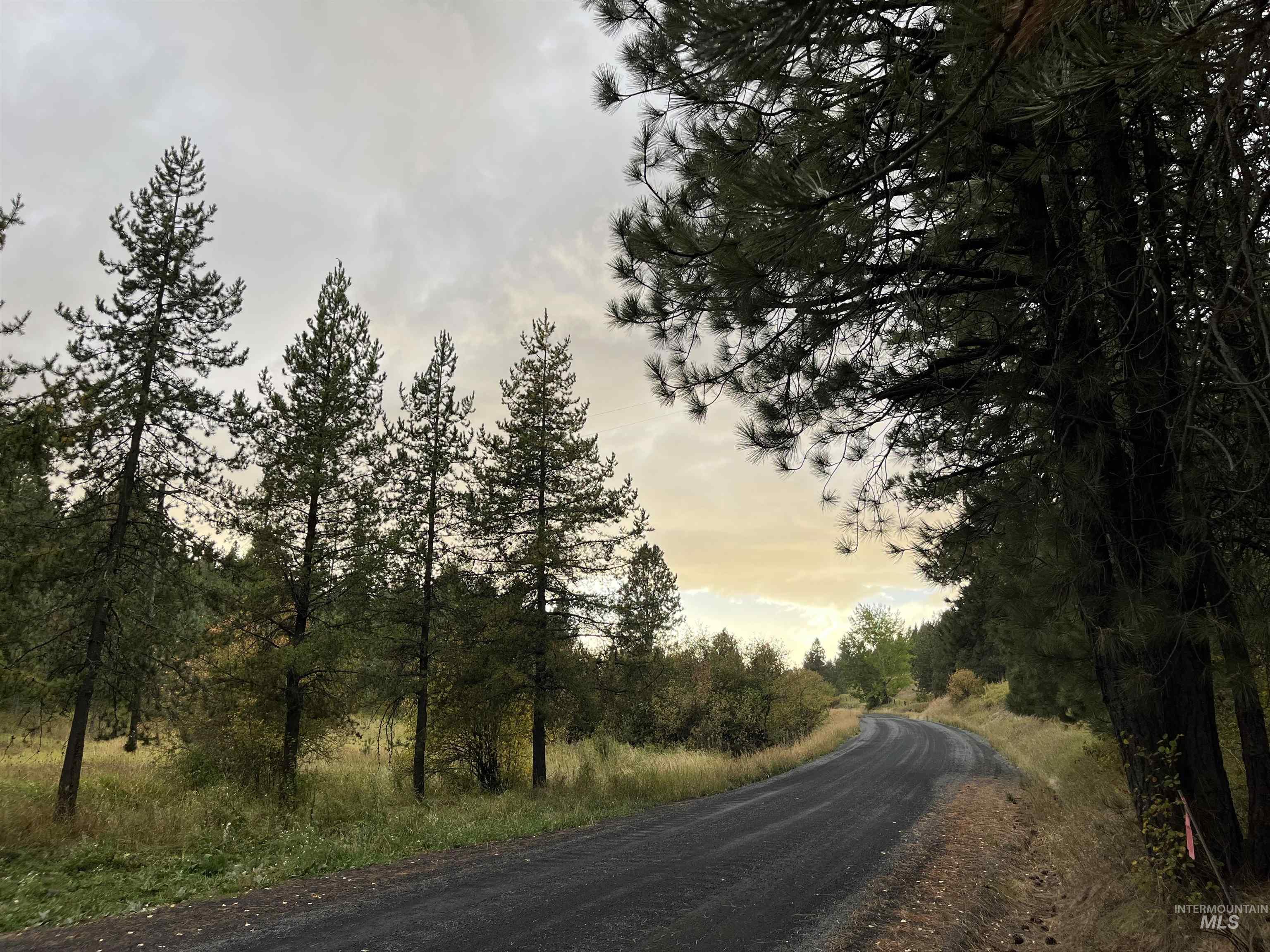 Tbd Wallen Road Moscow, ID 83843 - Photo 17 of 20 Gallery Image 17
