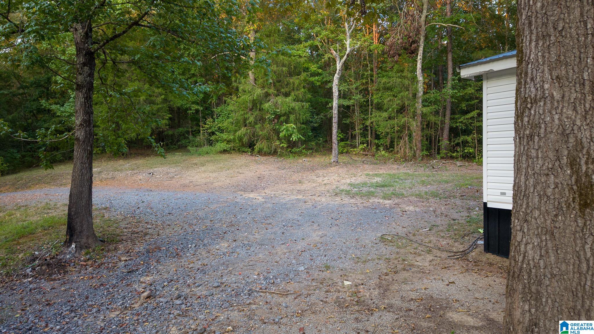 1344 Denas Cove Road Ragland, AL 35131 - Photo 44 of 44 Gallery Image 44