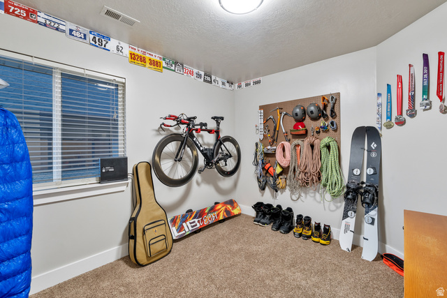 Undisclosed Address Ogden, UT 84403 - Photo 19 of 21 Recreation room with carpet floors and a textured ceiling