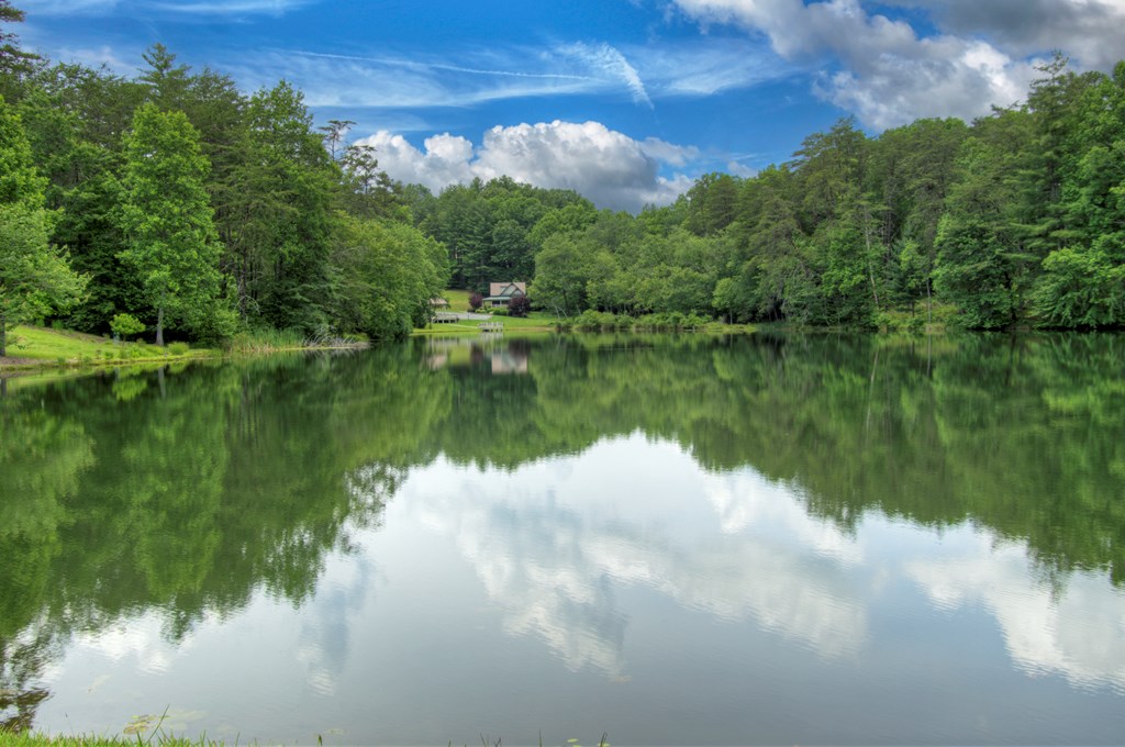Lot 132 Fox Cove Road Blairsville, GA 30512 - Photo 12 of 35 a view of a lake in middle of forest