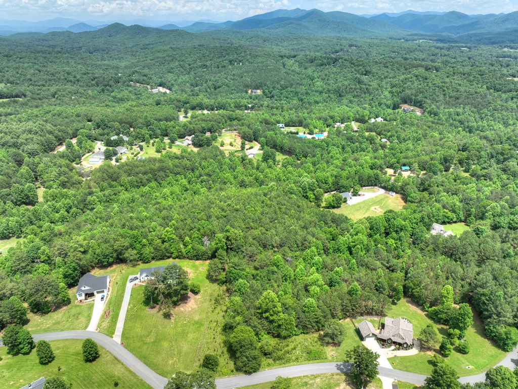 Lot 132 Fox Cove Road Blairsville, GA 30512 - Photo 23 of 35 a aerial view of a house with a yard