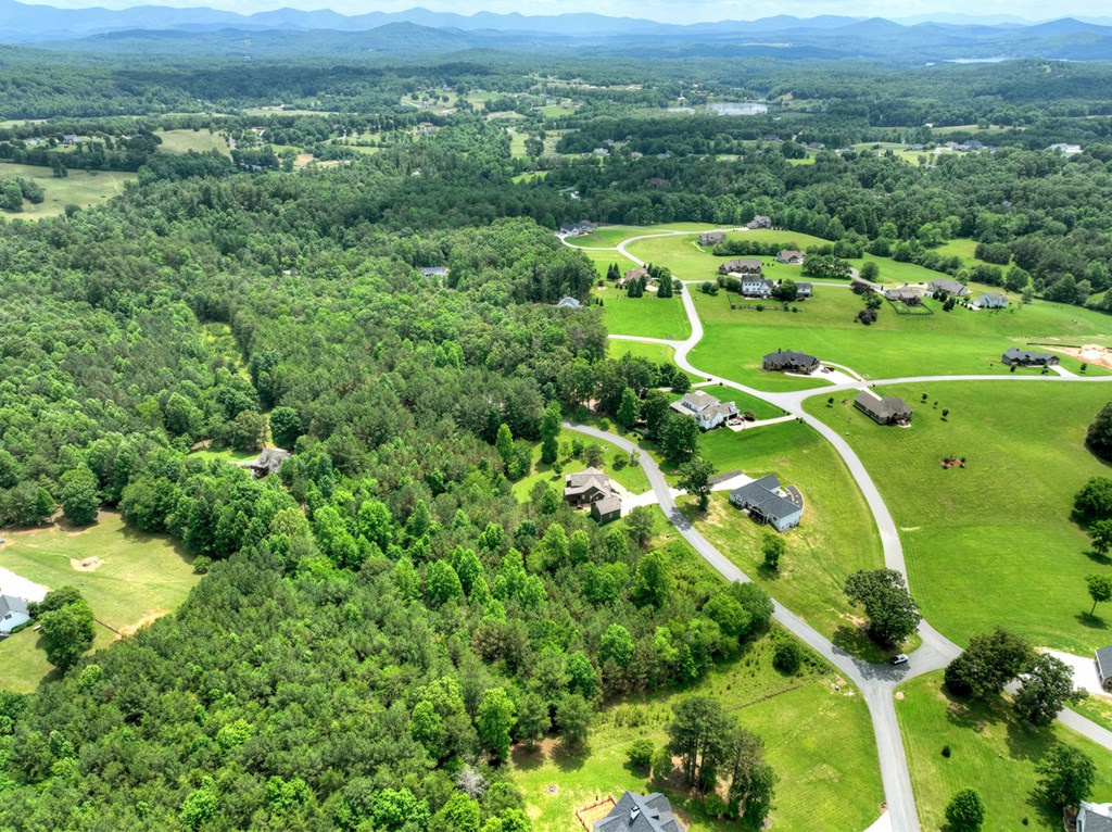 Lot 132 Fox Cove Road Blairsville, GA 30512 - Photo 26 of 35 a view of a city with lush green forest